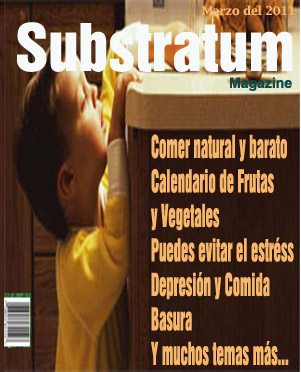 revista